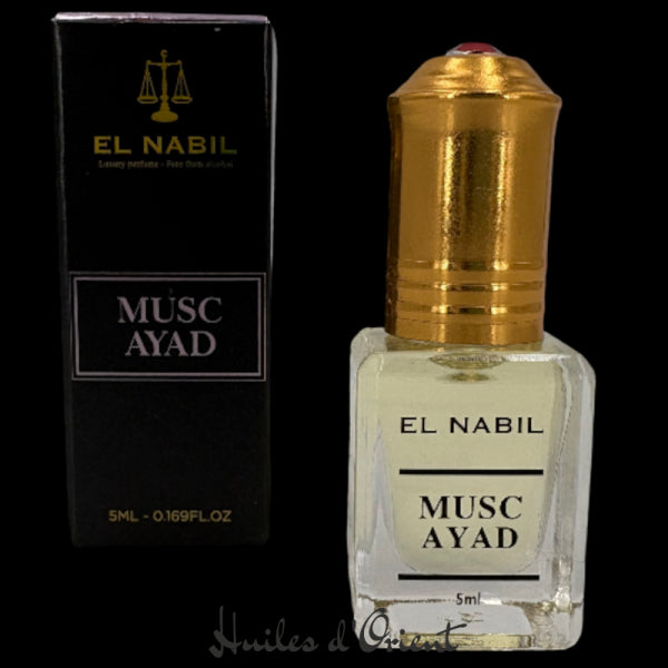 Musc Ayad – El Nabil