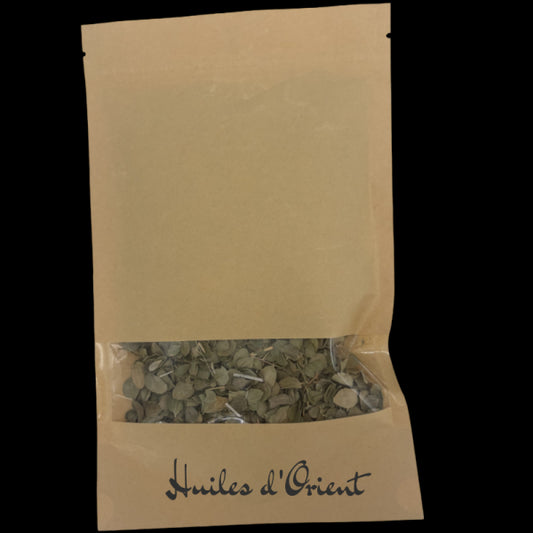 Feuilles de Jujubier (Sidr) – 100% Naturelles